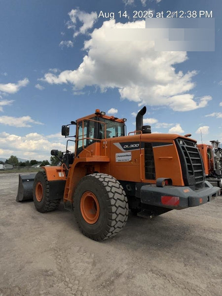2020 DOOSAN DL300-5
