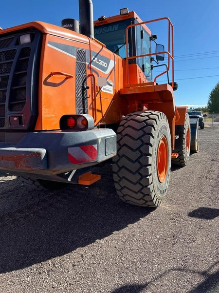 2020 DOOSAN DL300-5