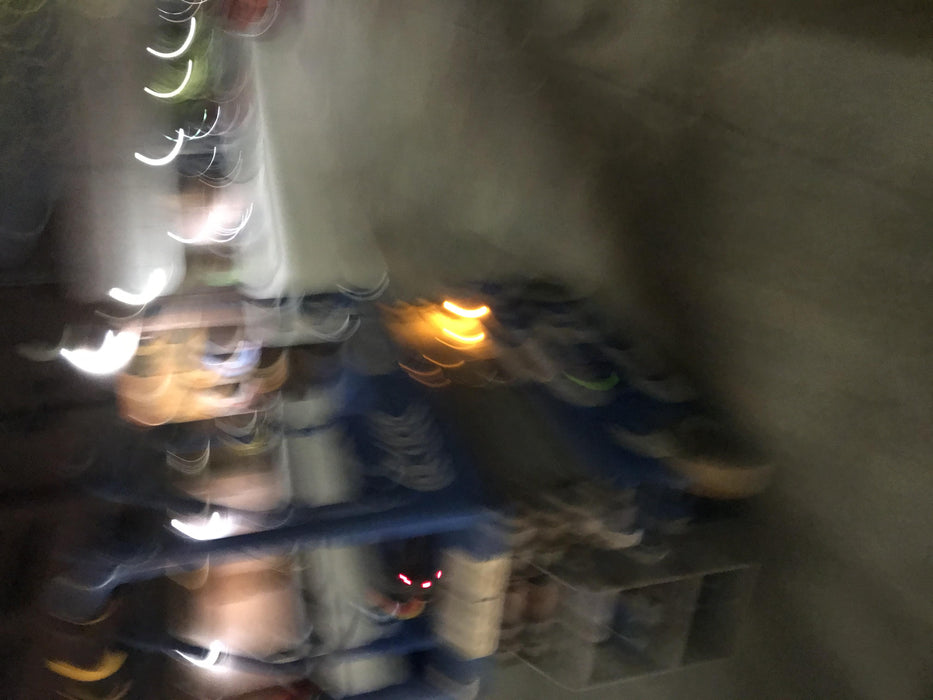 2020 Genie GS-1930 Standard Machine