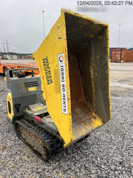 2019 WACKER NEUSON DT08