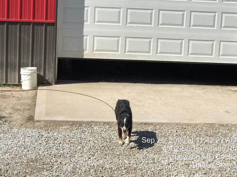 2020 John Deere 310LEP - Extendable Stick Canopy, 4WD, Extendable Stick, Pilot Controls, 2 Way Hydraulics, TAG Manual QC