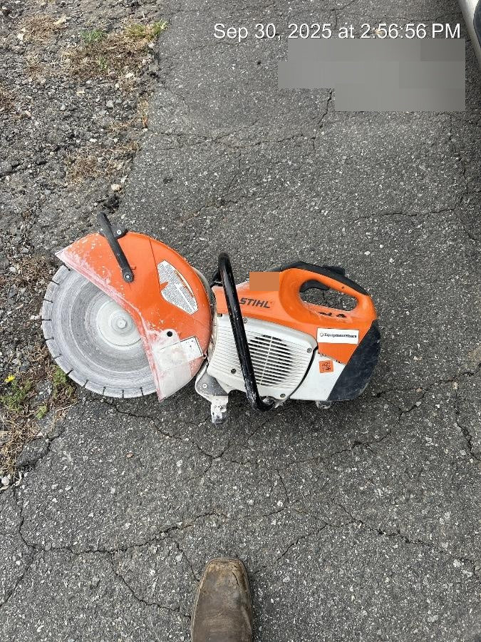 2020 STIHL TS420