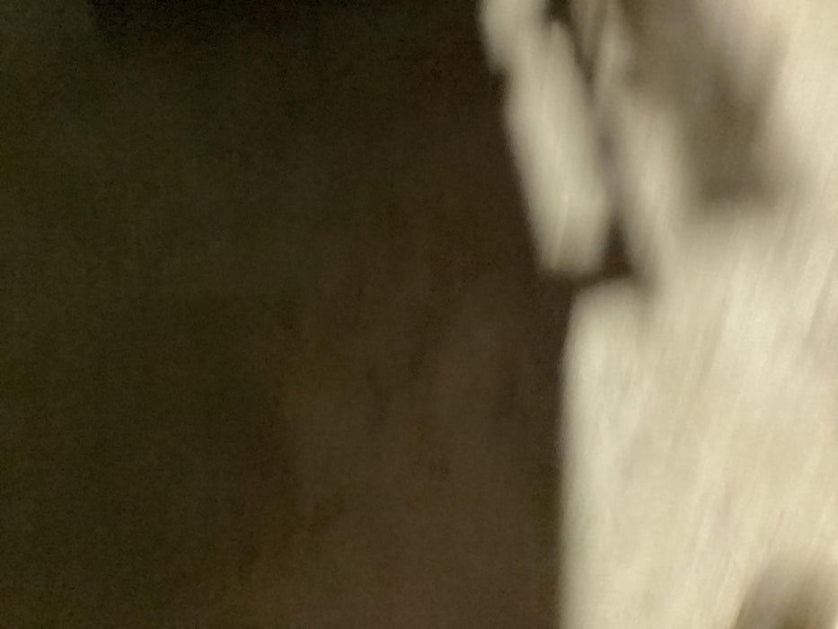 2021 LINCOLN ELECTRIC Dual Maverick 200/200X