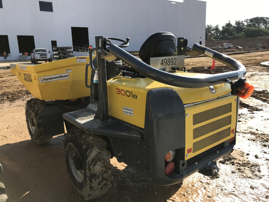 2019 WACKER NEUSON 3001