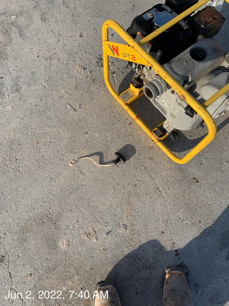 2019 WACKER NEUSON PT2