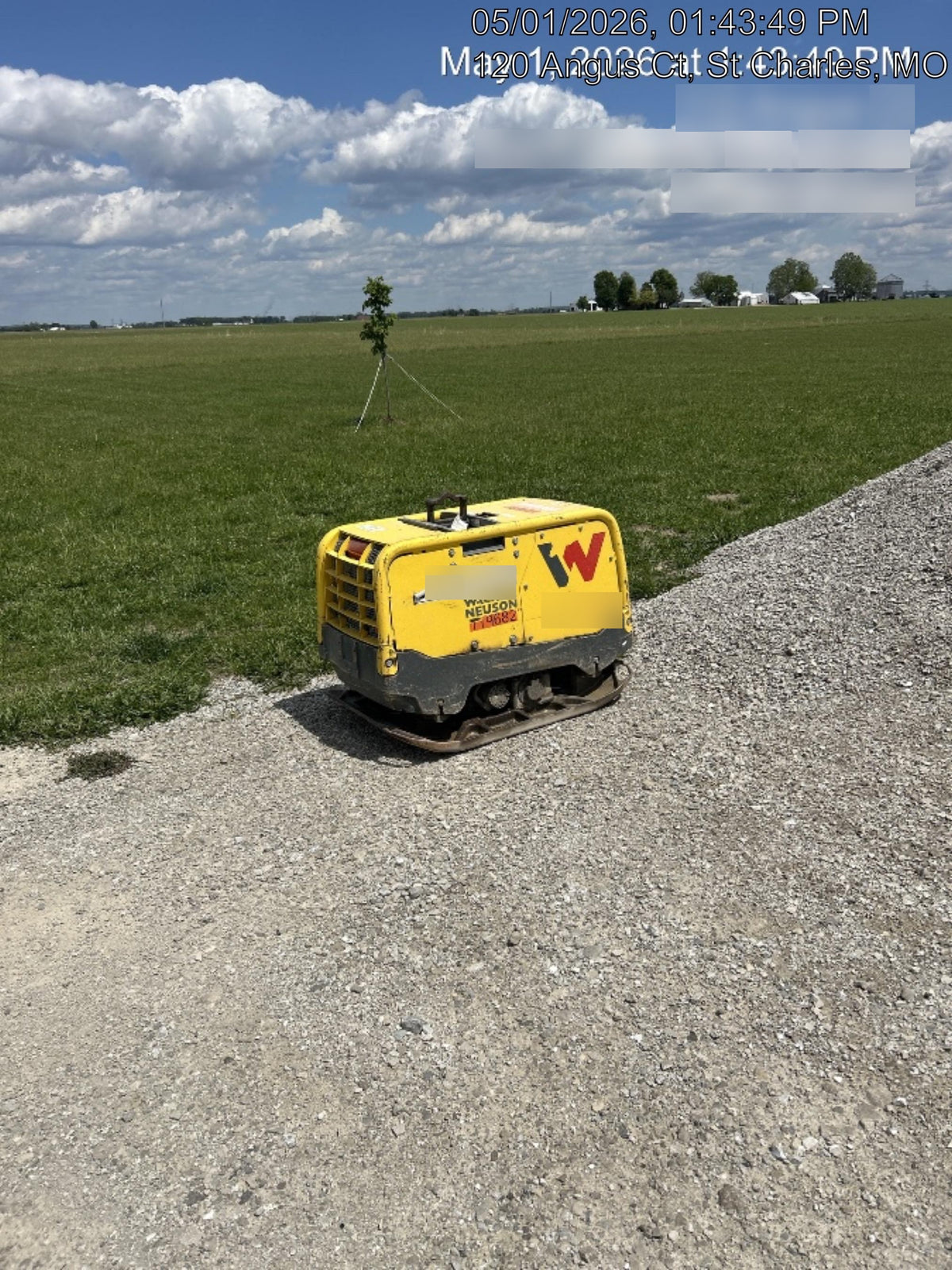 2020 Wacker Neuson DPU90r Vibration plate