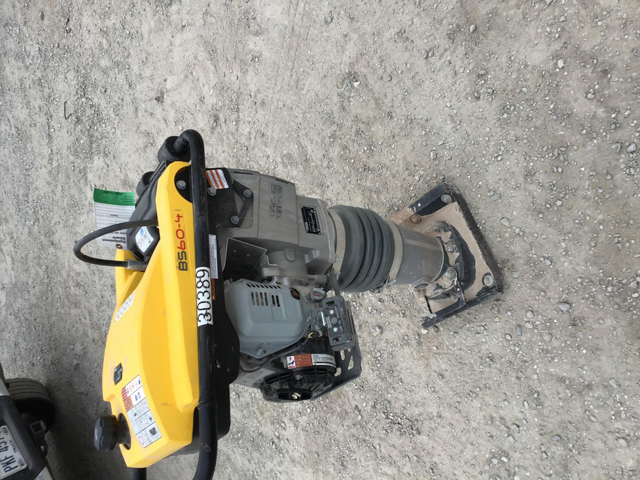 2019 WACKER NEUSON BS60-4As