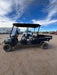 2019 CLUB CAR CA1700D (Canopy)