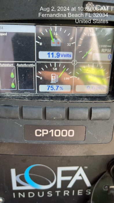 2021 PIONEER SAPP66S12L71-TD2.9L4