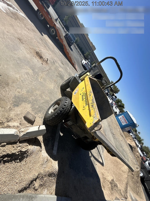 2019 WACKER NEUSON 3001