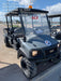 2021 CLUB CAR CA1700D (Canopy)