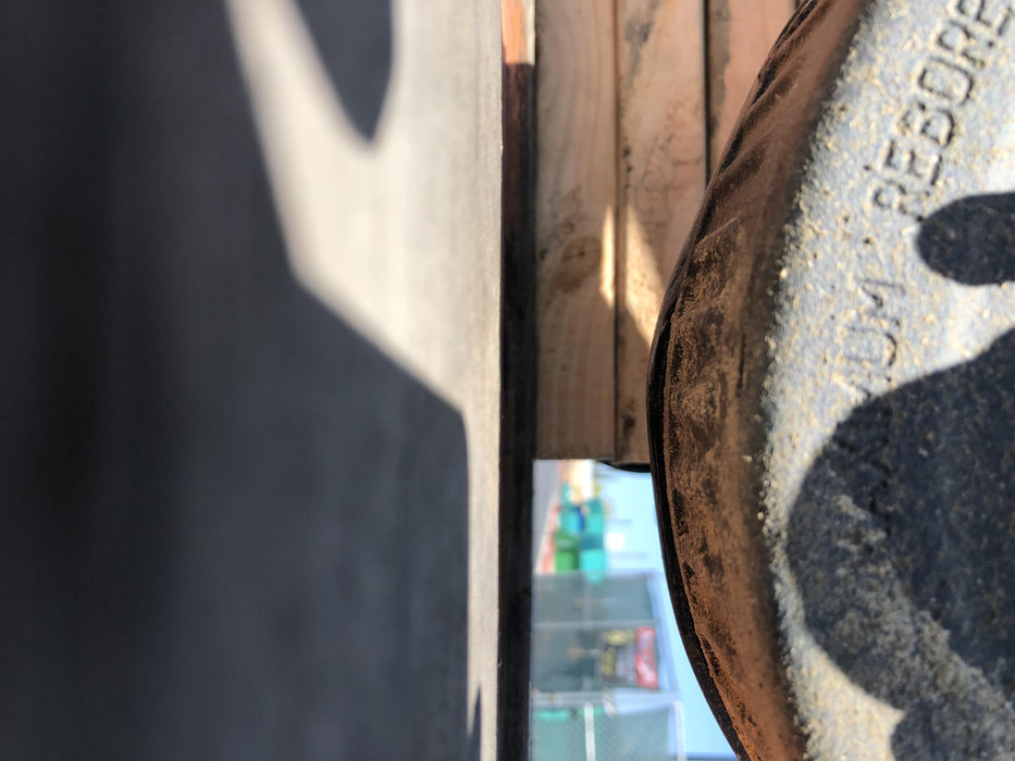 2019 WACKER NEUSON G25