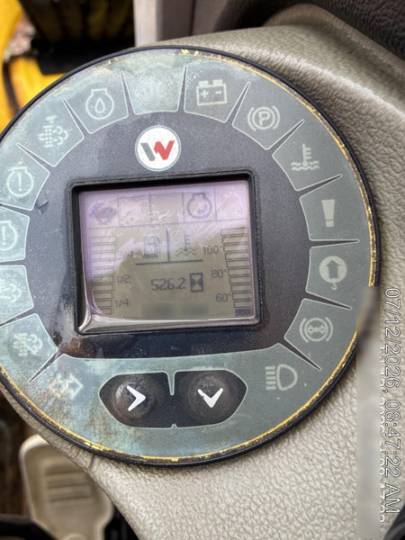 2019 WACKER NEUSON EZ53