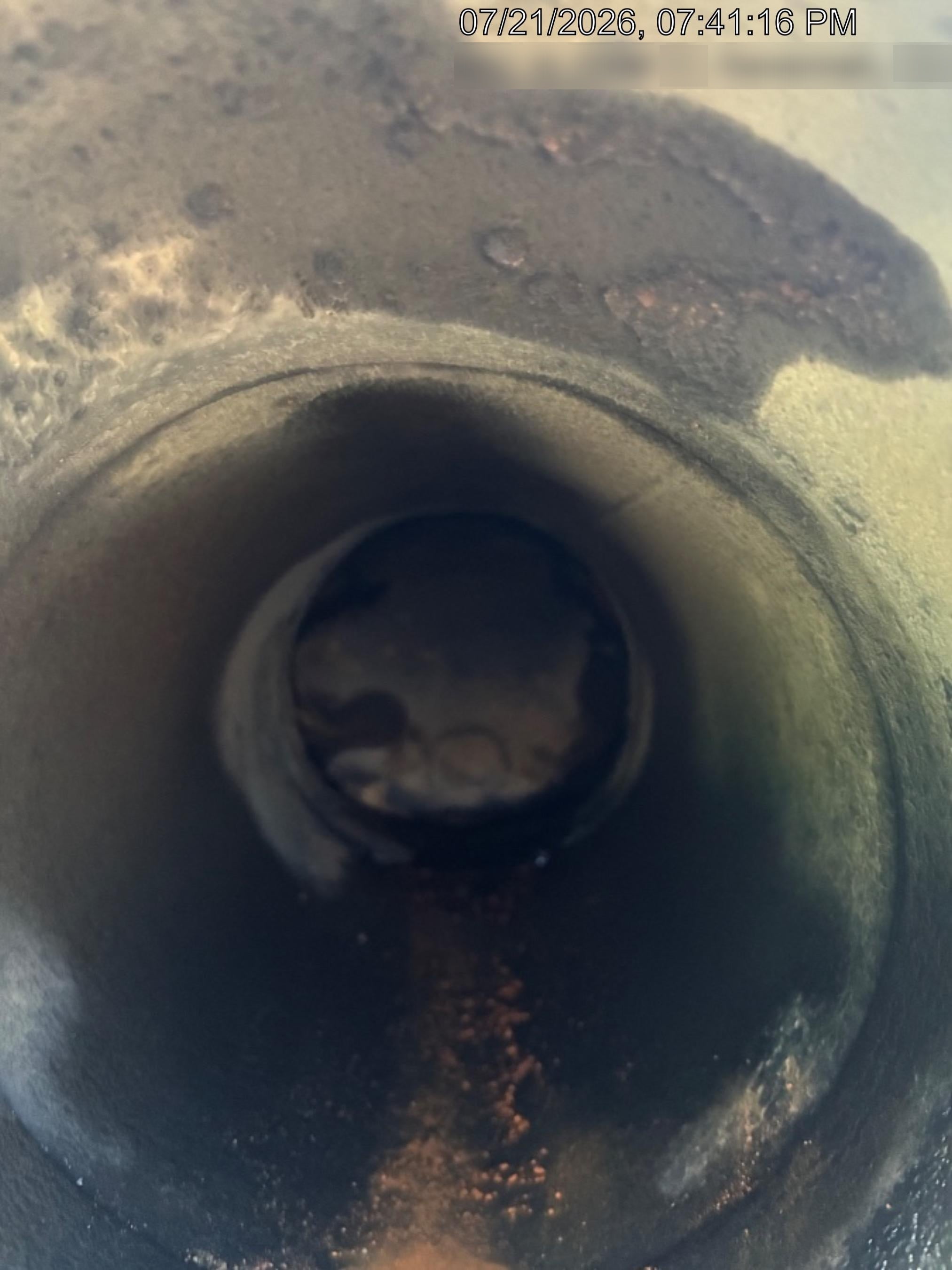 2021 PIONEER PP66S12L71-TD2.9L4