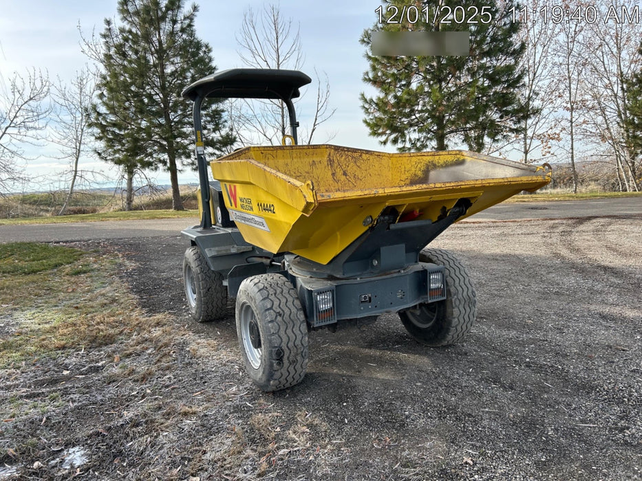 2020 WACKER NEUSON DW50