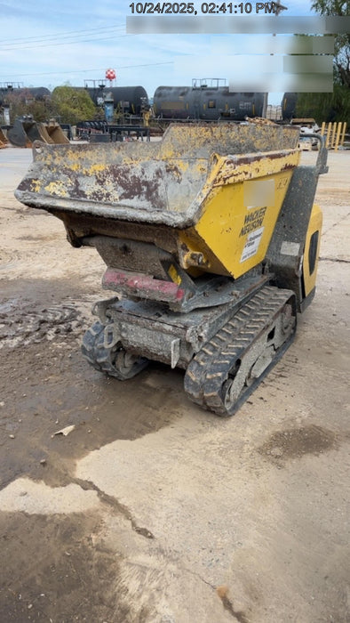 2019 WACKER NEUSON DT10
