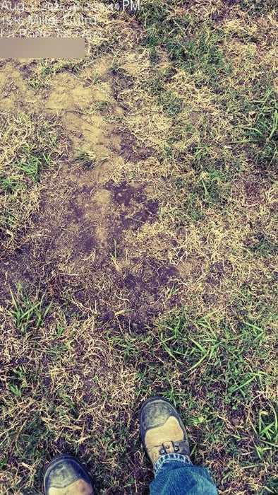 2024 Lincoln Electric LE400 Kubota V1505, Trlr, Cable Rack, Light Kit, ES Decals, T3