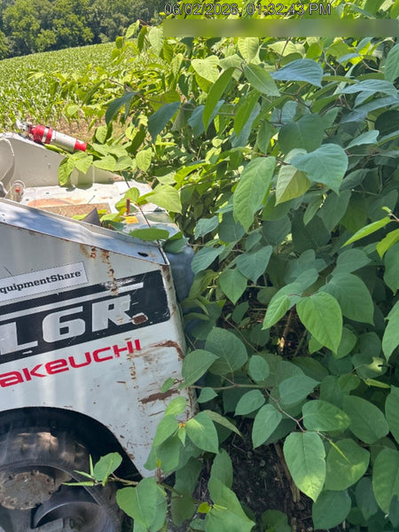 2020 TAKEUCHI TL6CR