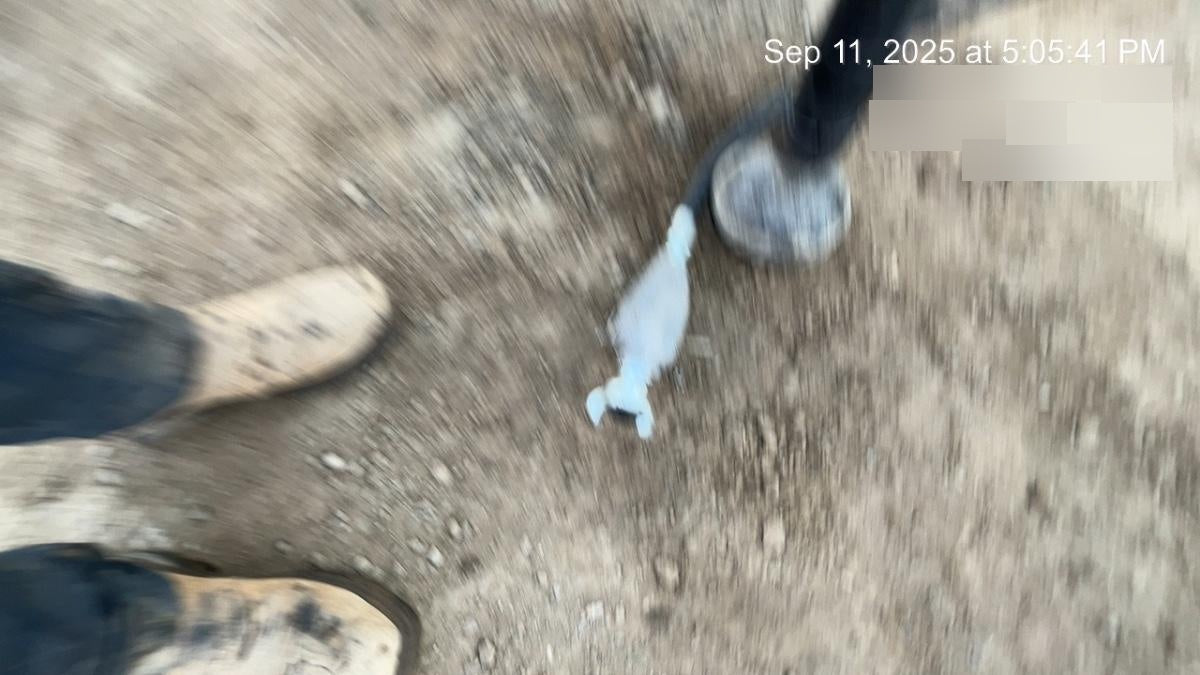 2025 MICHIGAN PNEUMATIC MP-6T-T