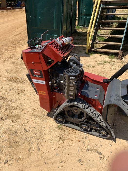 2022 TORO TRX-250