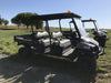2019 CLUB CAR CA1700D (Canopy)