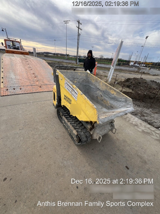 2019 WACKER NEUSON DT08