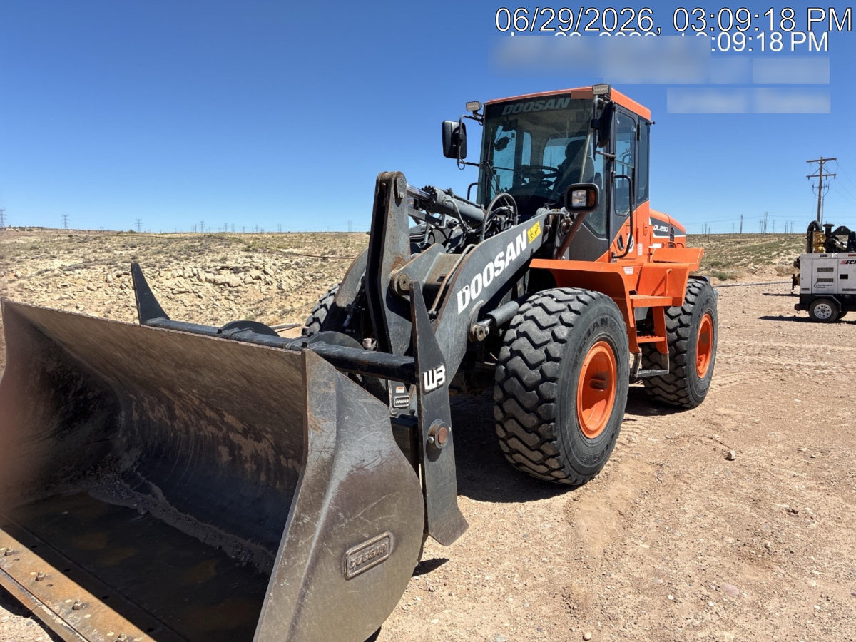 2019 DOOSAN DL250-5