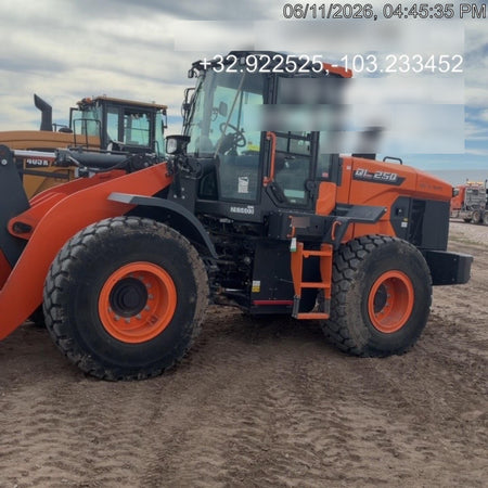 2021 DOOSAN DL250-7