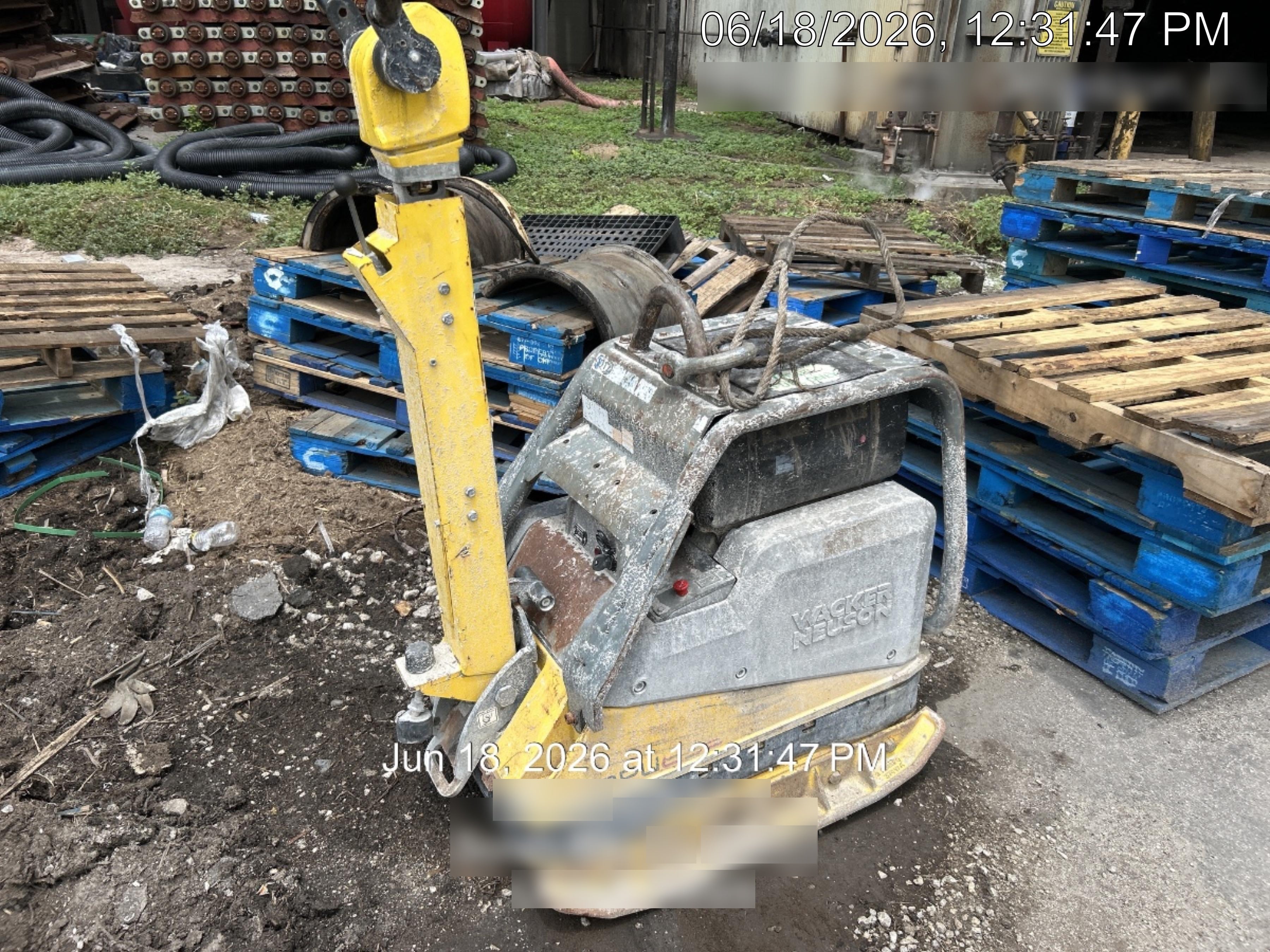 2021 Wacker Neuson DPU6555 DSL Vibroplate