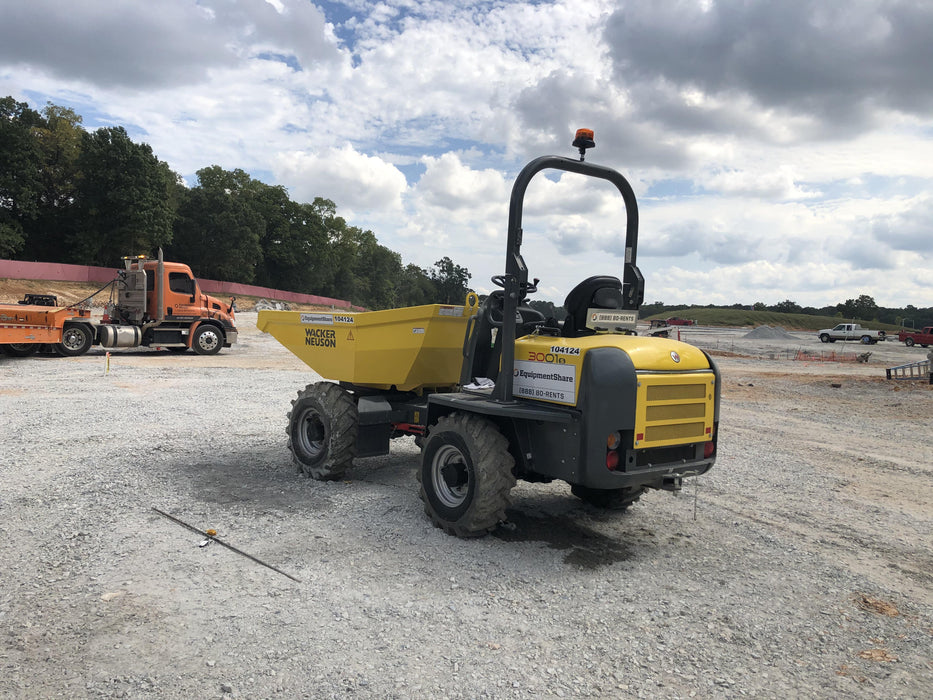 2020 WACKER NEUSON 3001