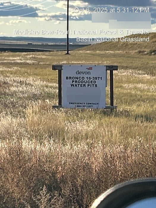 2024 PIONEER 86C21-DP