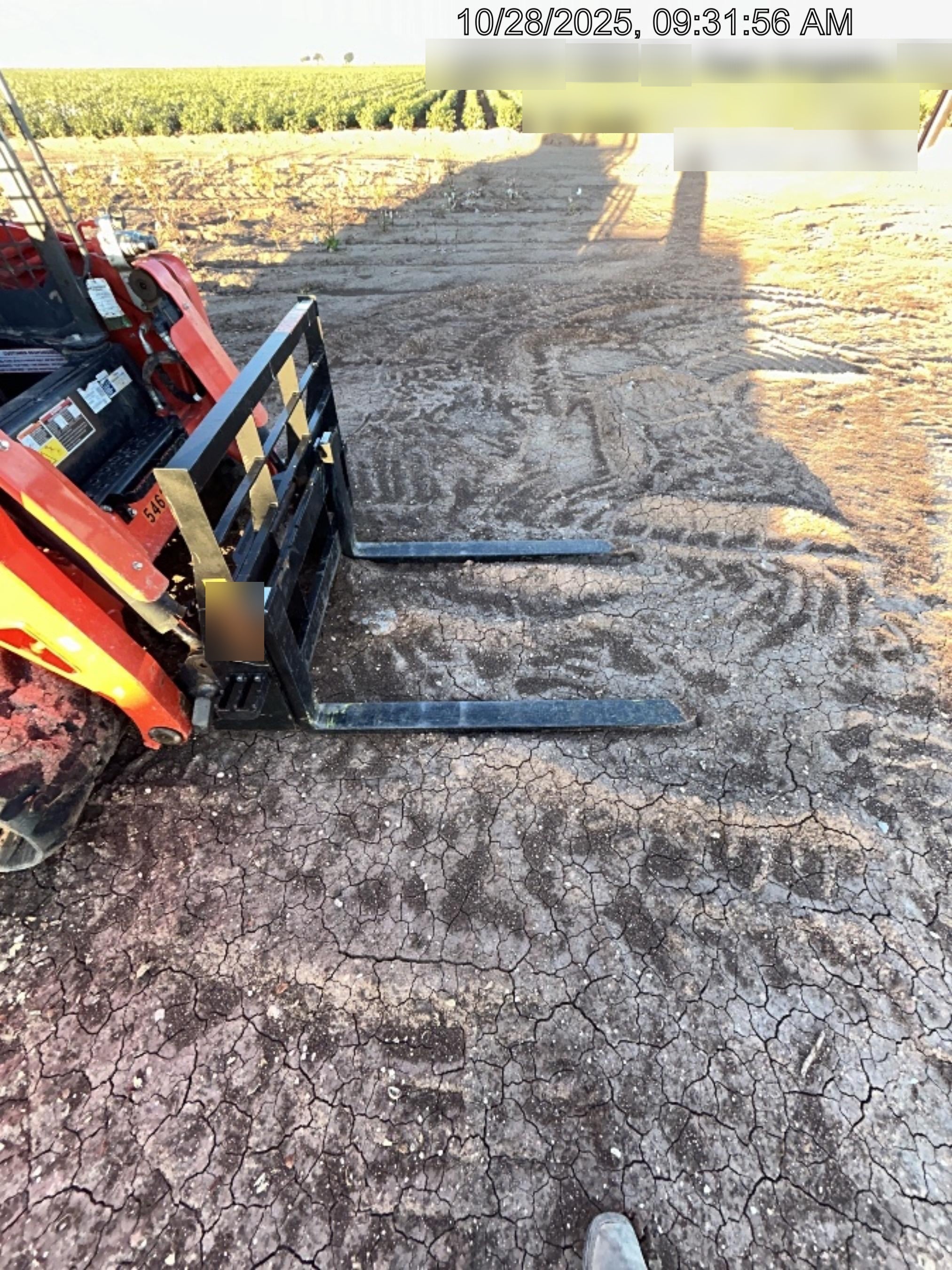 2025 ARROW MATERIAL HANDLING 60" Pallet Forks - Arrow