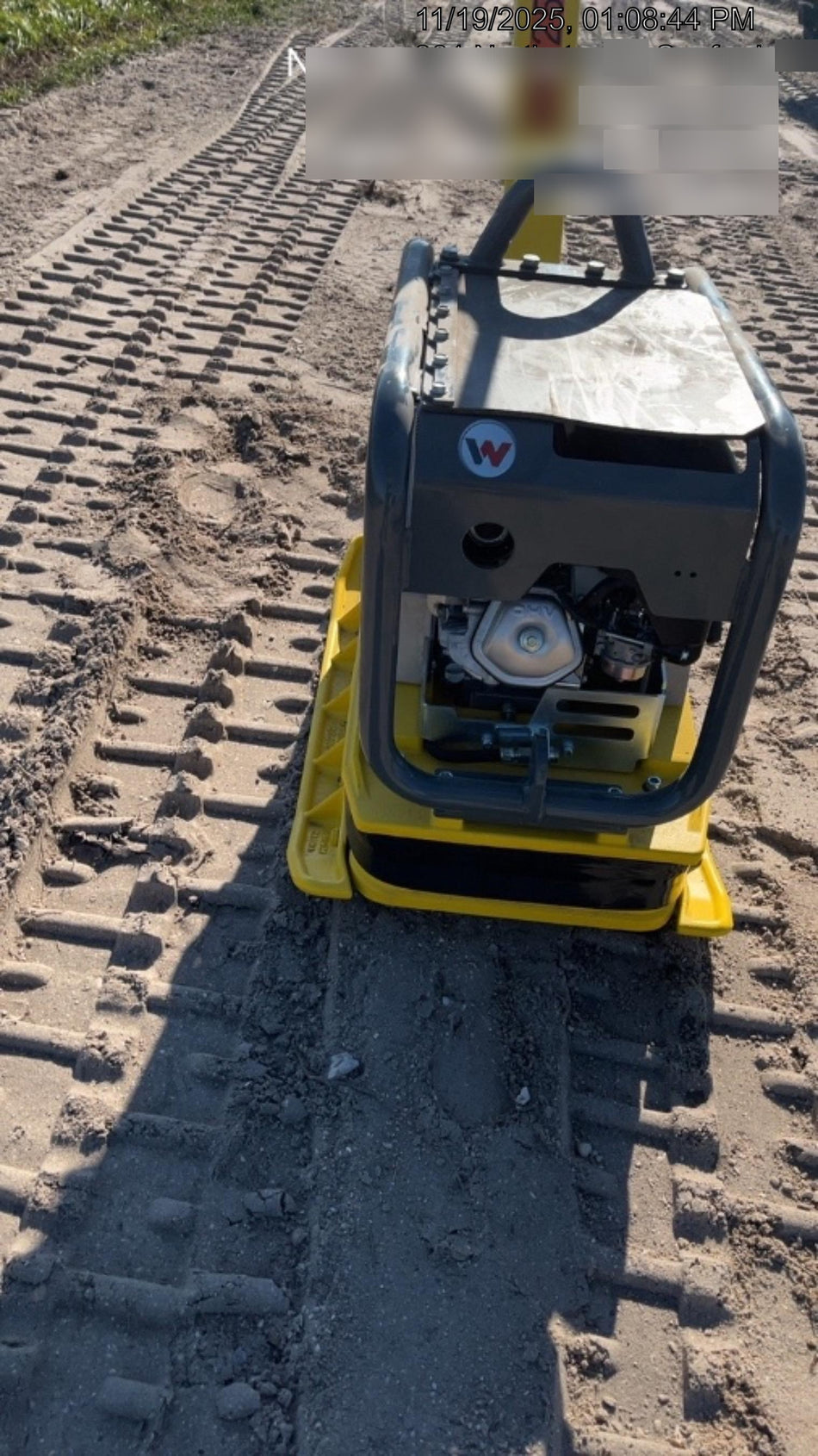 2025 WACKER NEUSON BPU5545A