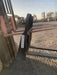 2023 FEMA 72" Skid Steer Forks FEMA
