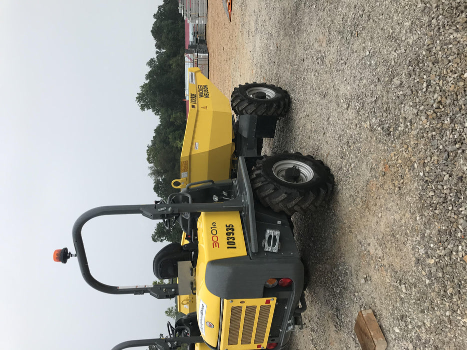 2020 WACKER NEUSON 3001