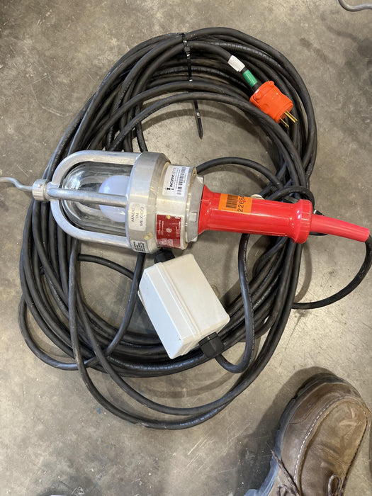 2022 WORKSITE LIGHTING DWXPLEDIL50-12V