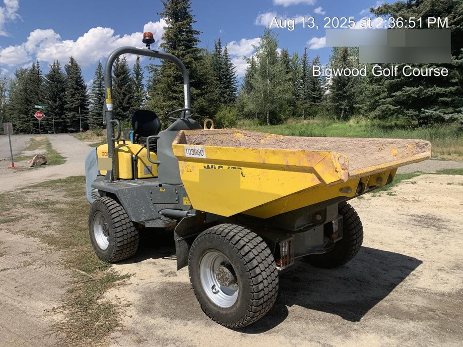 2020 WACKER NEUSON 3001