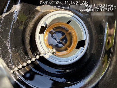 2025 WACKER NEUSON BPU3050A