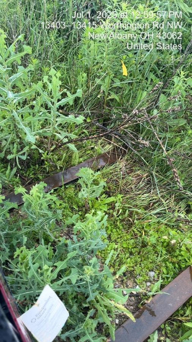 2025 VIRNIG PF4855-5VG