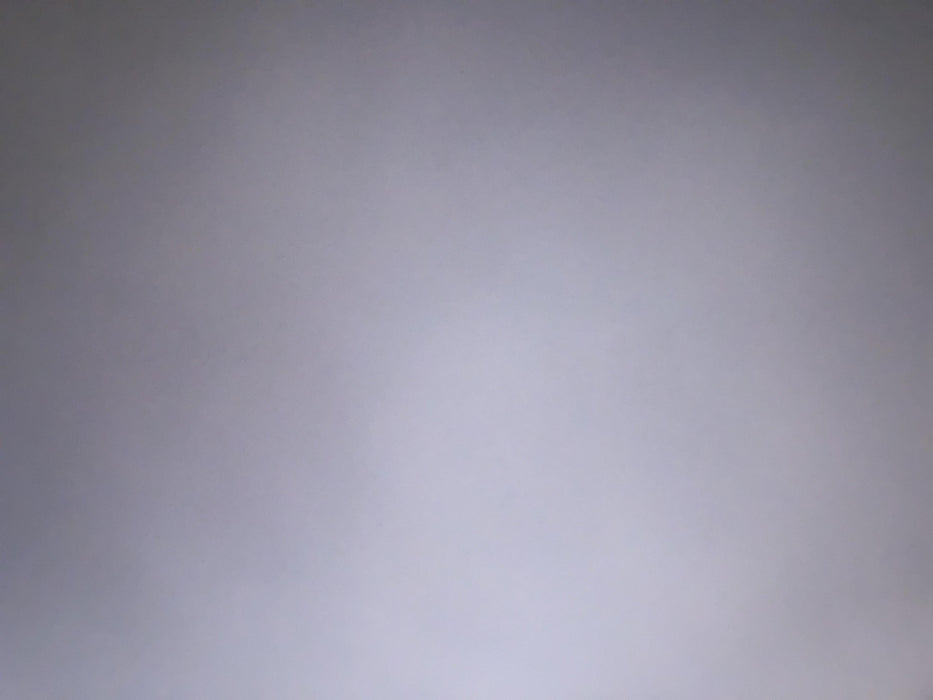 2019 PALADIN 48" Pallet Forks - Paladin