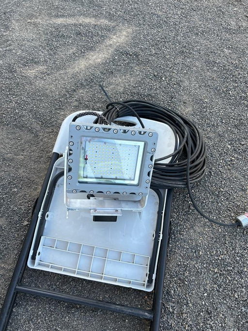 2024 WORKSITE LIGHTING RREXM-60W-M-M