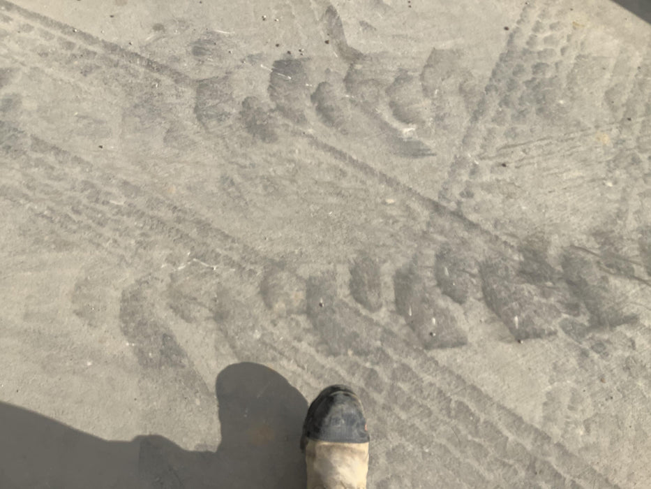 2019 DOOSAN P425/HP375WCU-T4F