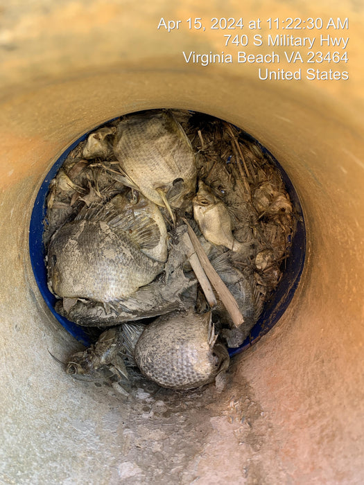 2022 THOMPSON 8RW-DDS-3.6-X