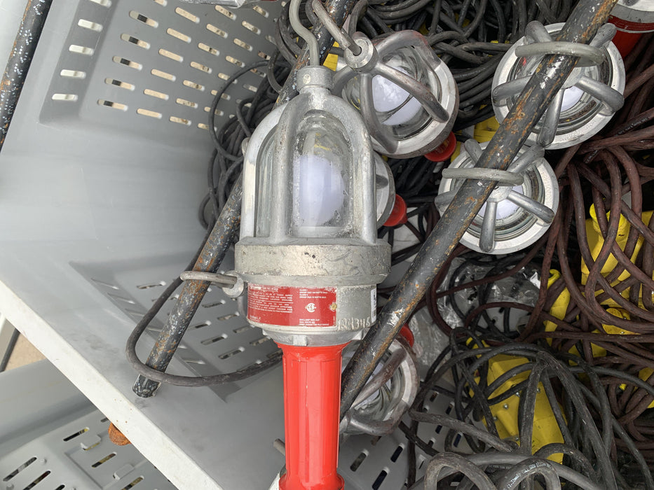 2021 WORKSITE LIGHTING DWXPLEDIL50-12V