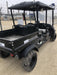 2021 CLUB CAR CA1700D (Canopy)