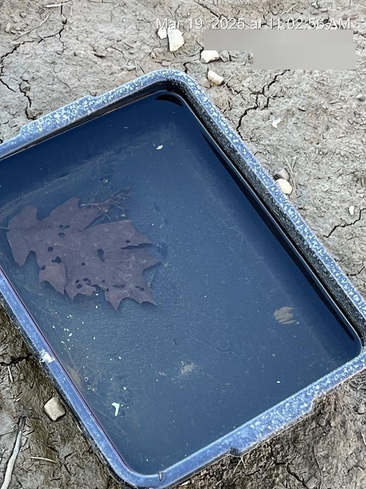 2023 ATLAS COPCO QAS45 CWK