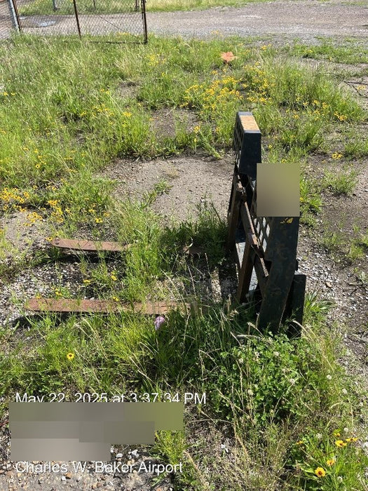 2019 PALADIN 48" Pallet Forks - Paladin