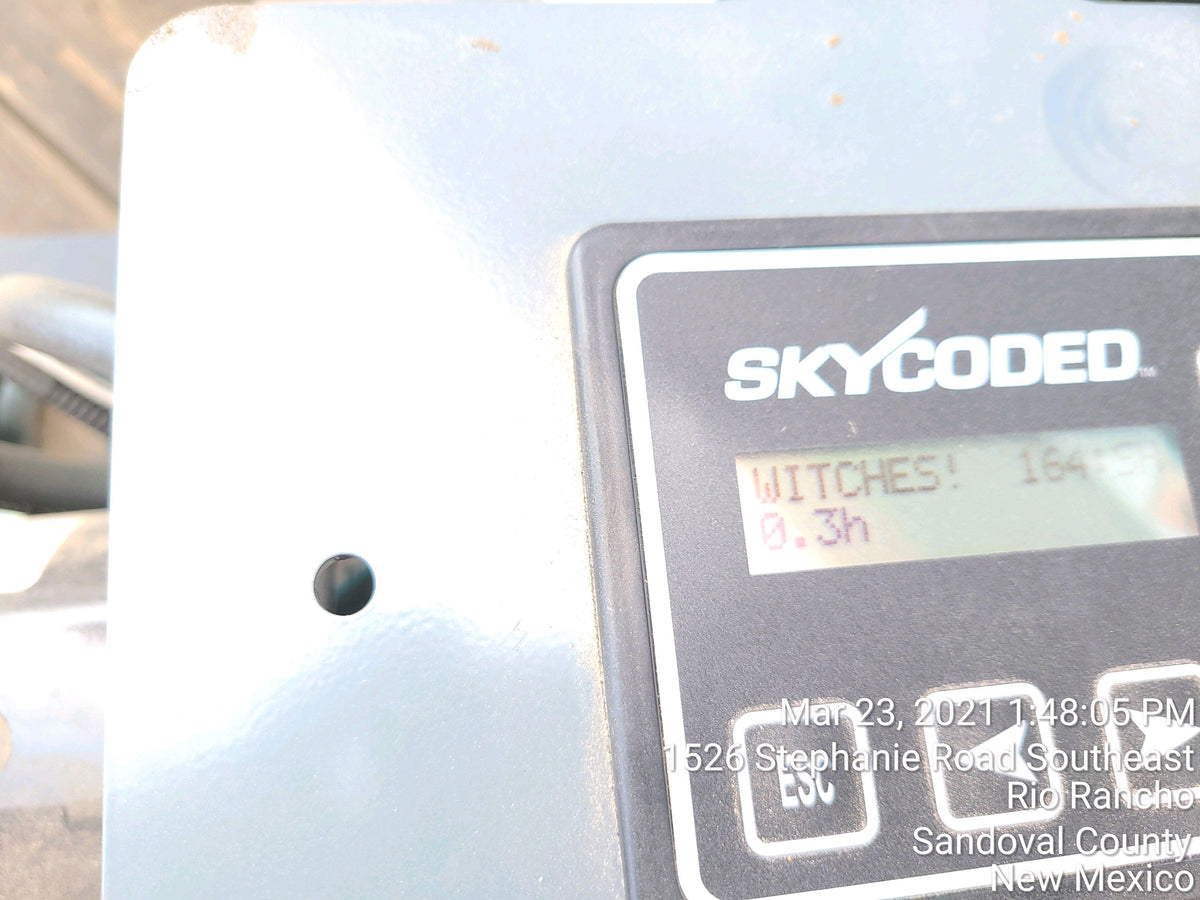 2021 SKYJACK SJ3219