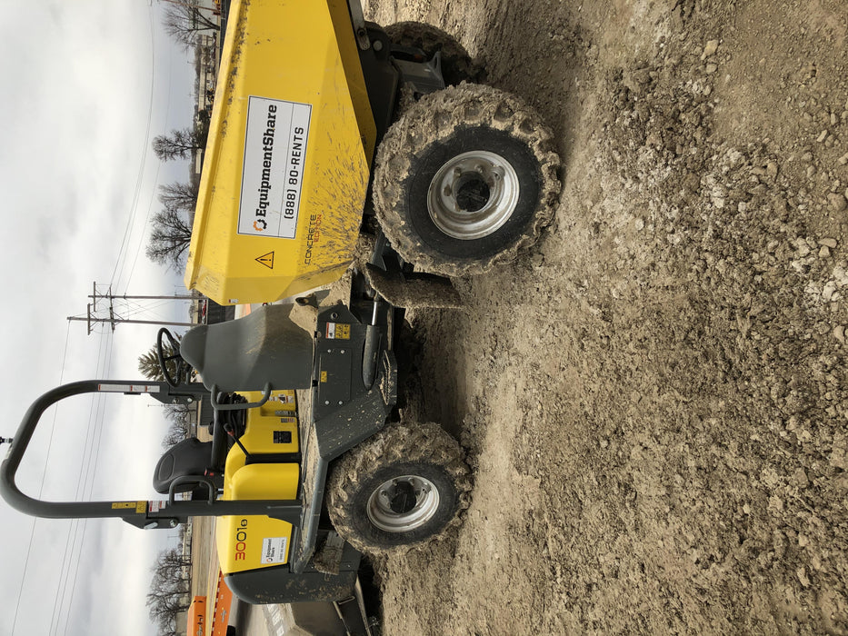 2019 WACKER NEUSON 3001