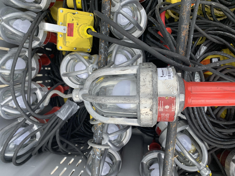 2021 WORKSITE LIGHTING DWXPLEDIL50-12V